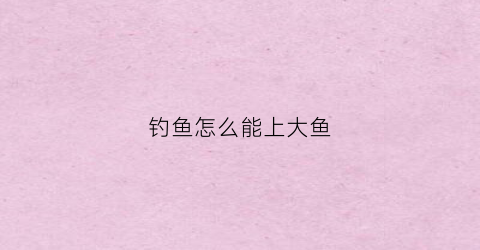 钓鱼怎么能上大鱼(钓大鱼怎么上鱼率)