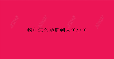 “钓鱼怎么能钓到大鱼小鱼(怎么才能钓到大的鱼呢)