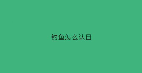 钓鱼怎么认目(如何确定钓目)