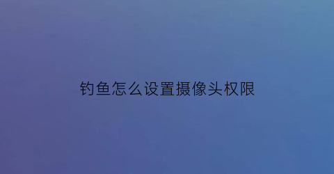 钓鱼怎么设置摄像头权限