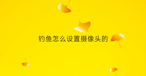 钓鱼怎么设置摄像头的(钓鱼摄像头怎么使用)