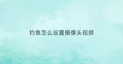钓鱼怎么设置摄像头视频(钓鱼怎么设置摄像头视频播放)
