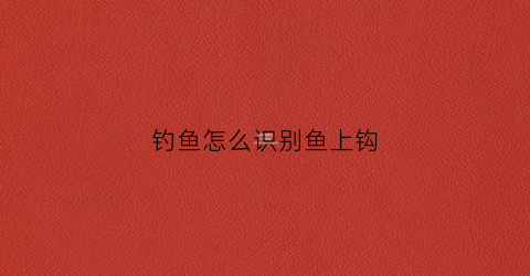 钓鱼怎么识别鱼上钩(钓鱼怎么识别鱼上钩了)