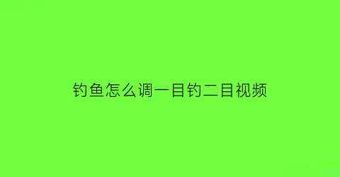 钓鱼怎么调一目钓二目视频(钓鱼怎么调一目钓二目视频教程)