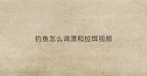 钓鱼怎么调漂和拉饵视频(钓鱼怎么调漂和拉饵视频教程)