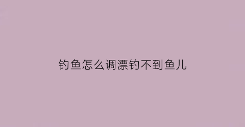 钓鱼怎么调漂钓不到鱼儿