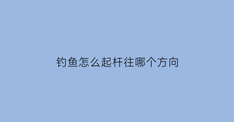 钓鱼怎么起杆往哪个方向(钓鱼如何起竿视频)