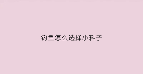 钓鱼怎么选择小料子(钓鱼小料怎么用)