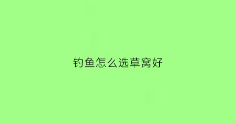 钓鱼怎么选草窝好(钓鱼怎么选草窝好用)