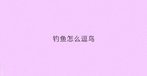 钓鱼怎么逗鸟(怎么逗鸟主动上手)