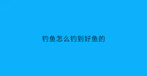 “钓鱼怎么钓到好鱼的(怎样才能更好的钓到鱼)