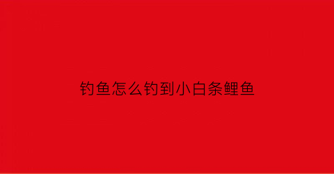 “钓鱼怎么钓到小白条鲤鱼(钓小白条的技巧)