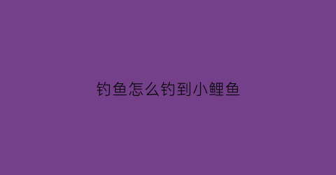 钓鱼怎么钓到小鲤鱼
