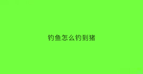 钓鱼怎么钓到猪(猪怎么钩)