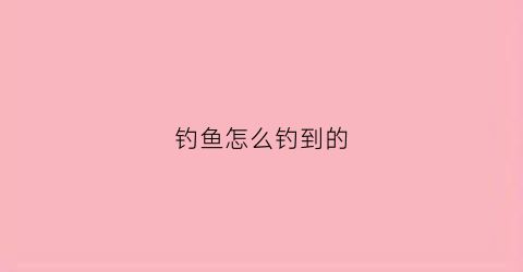 钓鱼怎么钓到的(钓鱼怎么钓到的鱼最好)
