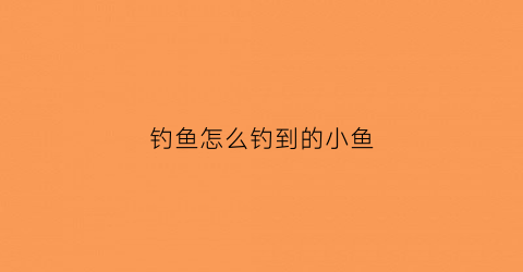 钓鱼怎么钓到的小鱼