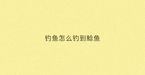 钓鱼怎么钓到鲶鱼(怎么样钓鲶鱼收获才会好)