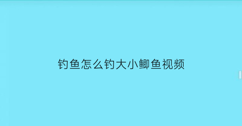 “钓鱼怎么钓大小鲫鱼视频(钓鱼怎么钓大小鲫鱼视频教程)