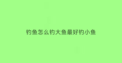 “钓鱼怎么钓大鱼最好钓小鱼(钓鱼如何钓大鱼)