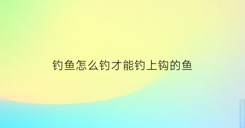 “钓鱼怎么钓才能钓上钩的鱼(钓鱼该怎么钓才能钓上)