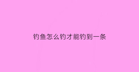 钓鱼怎么钓才能钓到一条