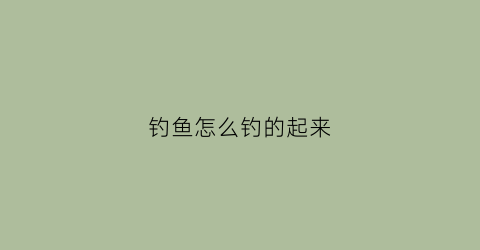 钓鱼怎么钓的起来(钓鱼怎么才能)