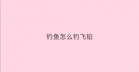 钓鱼怎么钓飞铅(钓鱼怎么钓飞铅鱼视频)