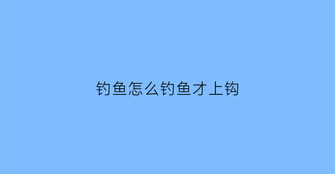 钓鱼怎么钓鱼才上钩(钓鱼怎么钓鱼才上钩呢)