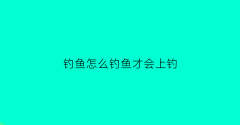 “钓鱼怎么钓鱼才会上钓(怎么钓鱼更容易上钩)