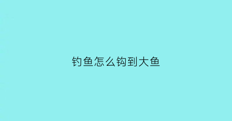 钓鱼怎么钩到大鱼(怎么钓大鱼)