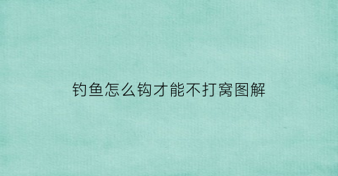 钓鱼怎么钩才能不打窝图解(钓鱼怎么让钩子不沉底)