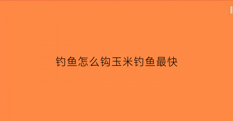 钓鱼怎么钩玉米钓鱼最快(钓鱼怎么钩玉米钓鱼最快视频)