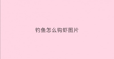 钓鱼怎么钩虾图片(钓鱼钩虾方法图解)
