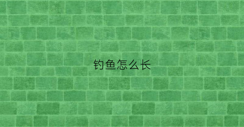 钓鱼怎么长(钓鱼怎么长期养窝子)