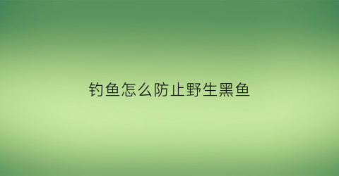 钓鱼怎么防止野生黑鱼(如何防止黑鱼闹窝)