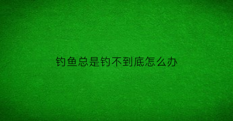 钓鱼总是钓不到底怎么办