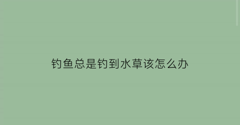 “钓鱼总是钓到水草该怎么办(钓鱼有水草的地方怎么清)