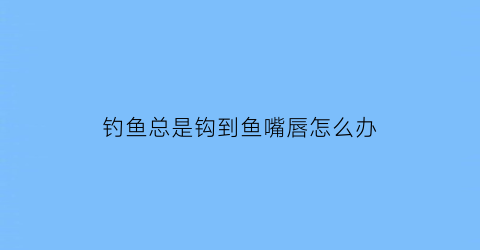 钓鱼总是钩到鱼嘴唇怎么办(钩到鱼下嘴唇)