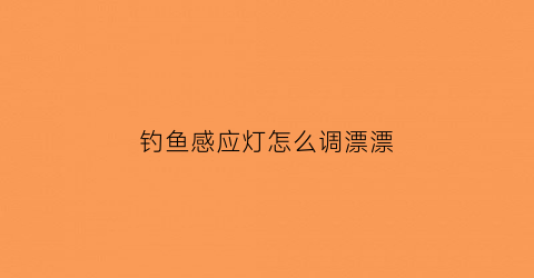 钓鱼感应灯怎么调漂漂(钓鱼感应灯哪个牌子好)