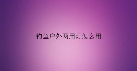 钓鱼户外两用灯怎么用(户外夜钓灯什么品牌最好)