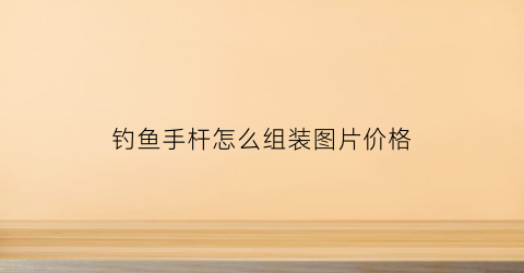 钓鱼手杆怎么组装图片价格(钓鱼手杆怎么玩)
