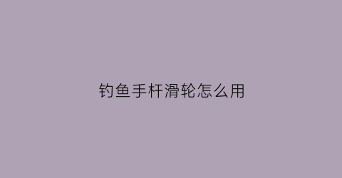 钓鱼手杆滑轮怎么用(钓鱼竿滑轮有什么作用)