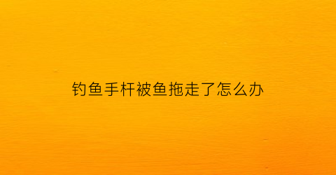钓鱼手杆被鱼拖走了怎么办(钓鱼杆子被鱼拉走弄上杆子没鱼)