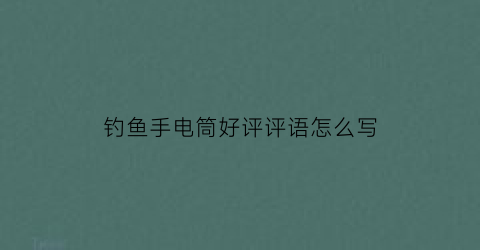 钓鱼手电筒好评评语怎么写(手电筒好评过客网)