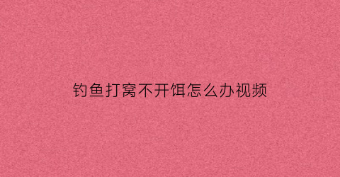 “钓鱼打窝不开饵怎么办视频(钓鱼打窝不开饵怎么办视频教程)