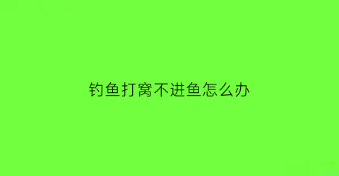 钓鱼打窝不进鱼怎么办(钓鱼打窝不进鱼怎么办视频)