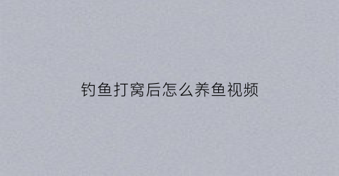 钓鱼打窝后怎么养鱼视频(钓鱼打窝后怎么养鱼视频教程)