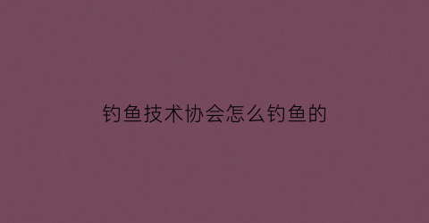 钓鱼技术协会怎么钓鱼的(钓鱼技术协会怎么钓鱼的呢)