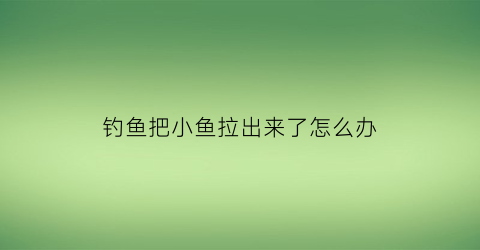 钓鱼把小鱼拉出来了怎么办