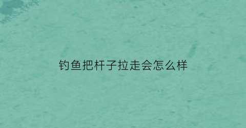钓鱼把杆子拉走会怎么样